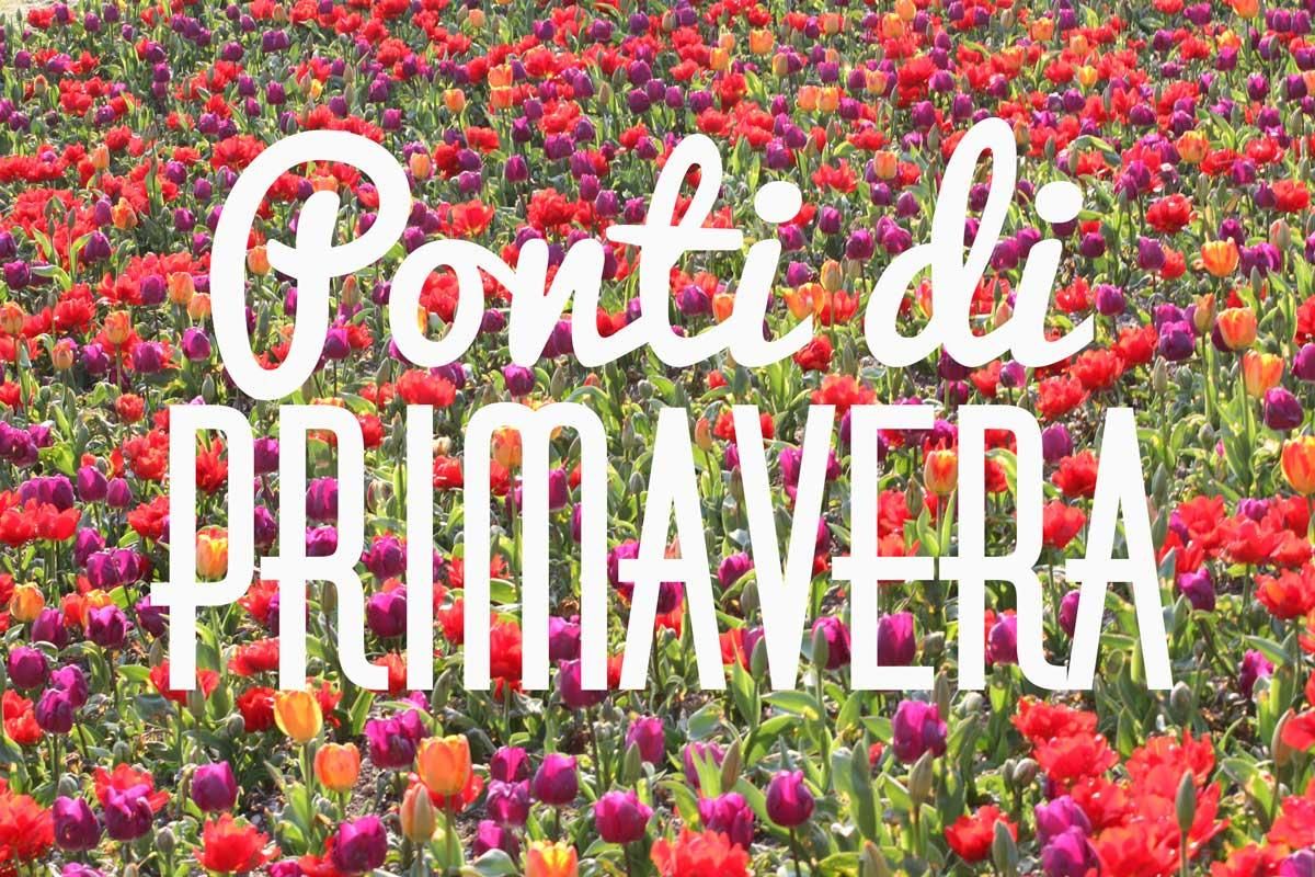 ponti di primavera